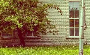 Artistic Instagram Photos