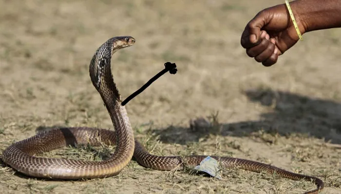 Fist Bump