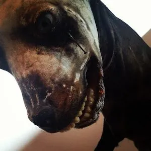 BeingMorph