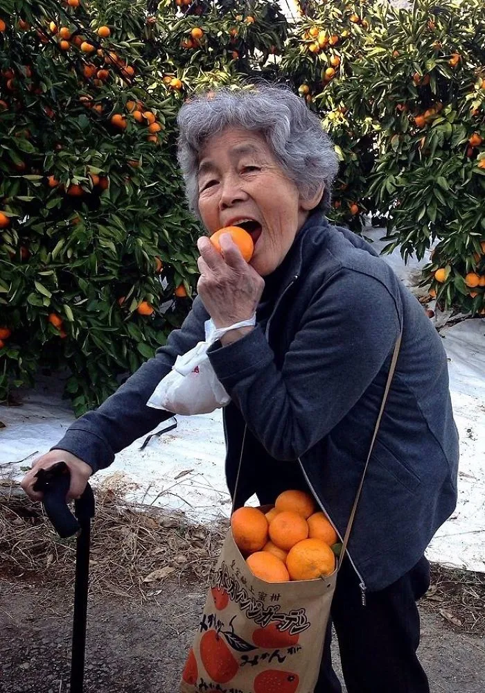 Ever Since This 90-Year-Old Japanese Grandma Discovered Photography She Can’t Stop Taking Hilarious Self-Portraits (New Pics)
