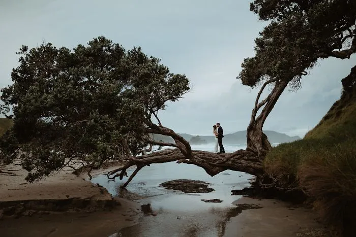 Northland, New Zealand