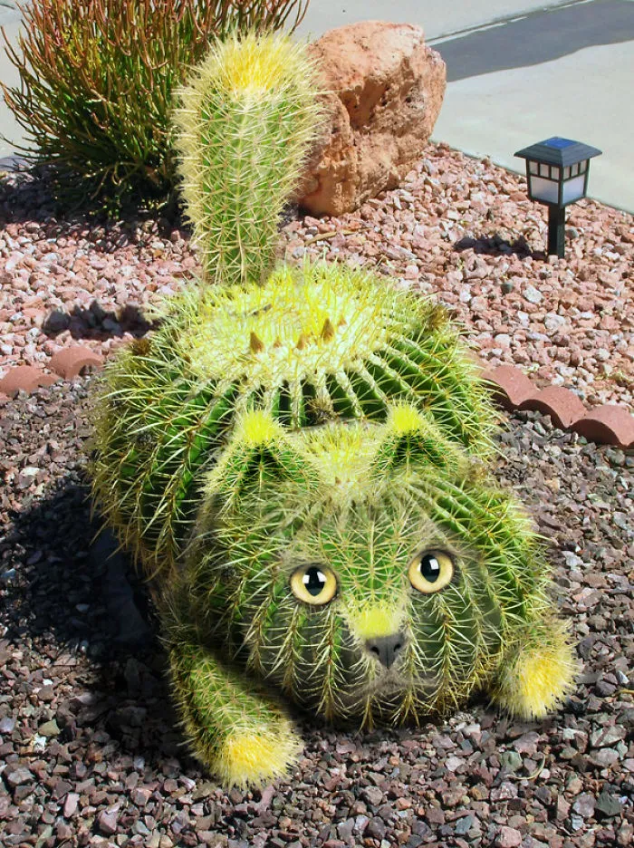 Photoshop Artists Combine Animals And Plants Into One Interesting Object