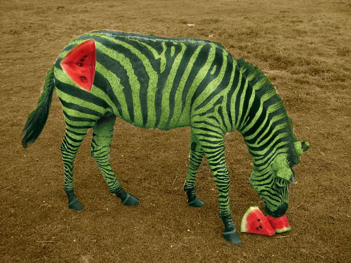 Photoshop Artists Combine Animals And Plants Into One Interesting Object