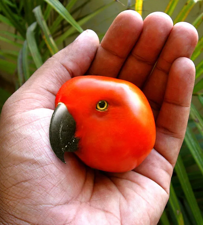 Photoshop Artists Combine Animals And Plants Into One Interesting Object