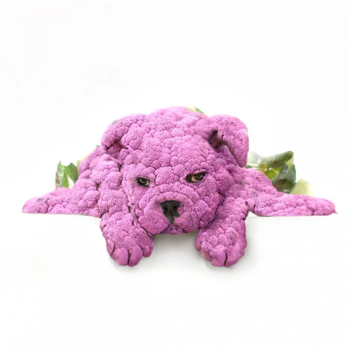 Photoshop Artists Combine Animals And Plants Into One Interesting Object