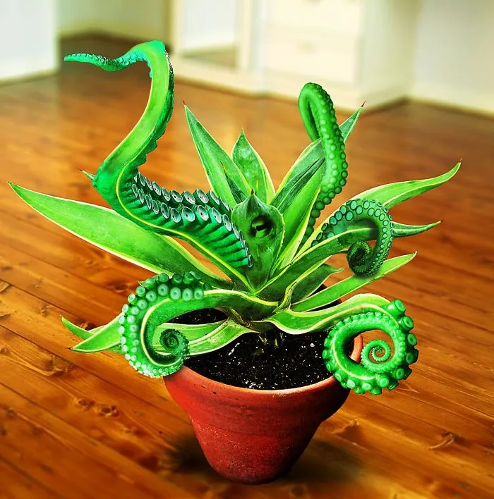 Photoshop Artists Combine Animals And Plants Into One Interesting Object