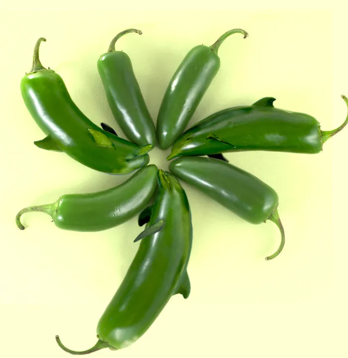 Photoshop Artists Combine Animals And Plants Into One Interesting Object