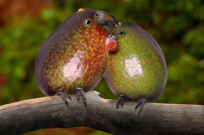 Photoshop Artists Combine Animals And Plants Into One Interesting Object