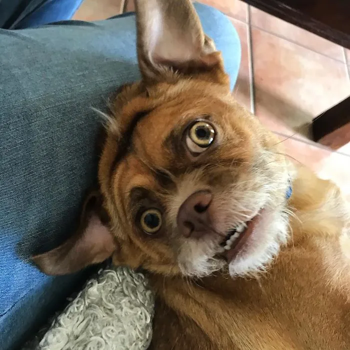 Monday?! No!? I’m Not Ready