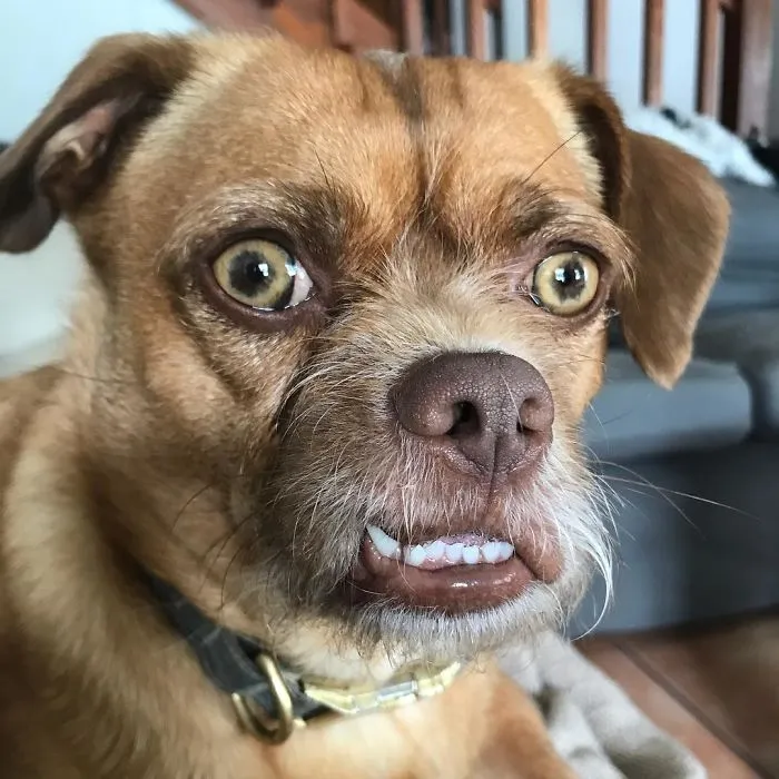 Pretending To Care About A Really Long Boring Story