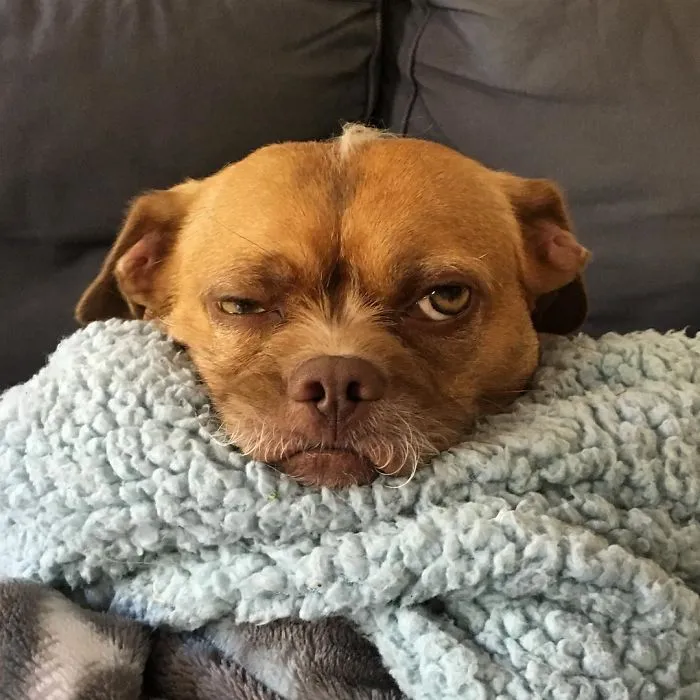 When You Realize It’s Only Tuesday
