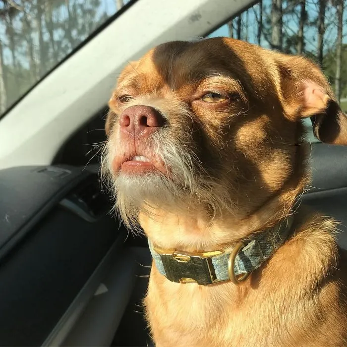 When You Have To Listen To People Complain On A Friday
