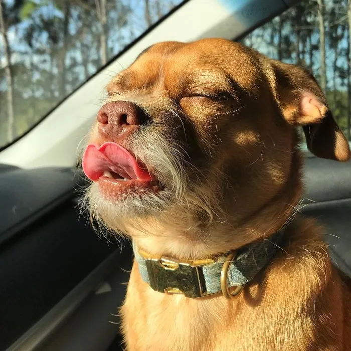 When You Catch A Glimpse Of Yourself In A Mirror And Like The Way You Look