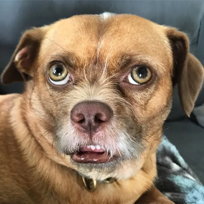 If You Keep Making Faces Like That, You’ll Get Stuck That Way