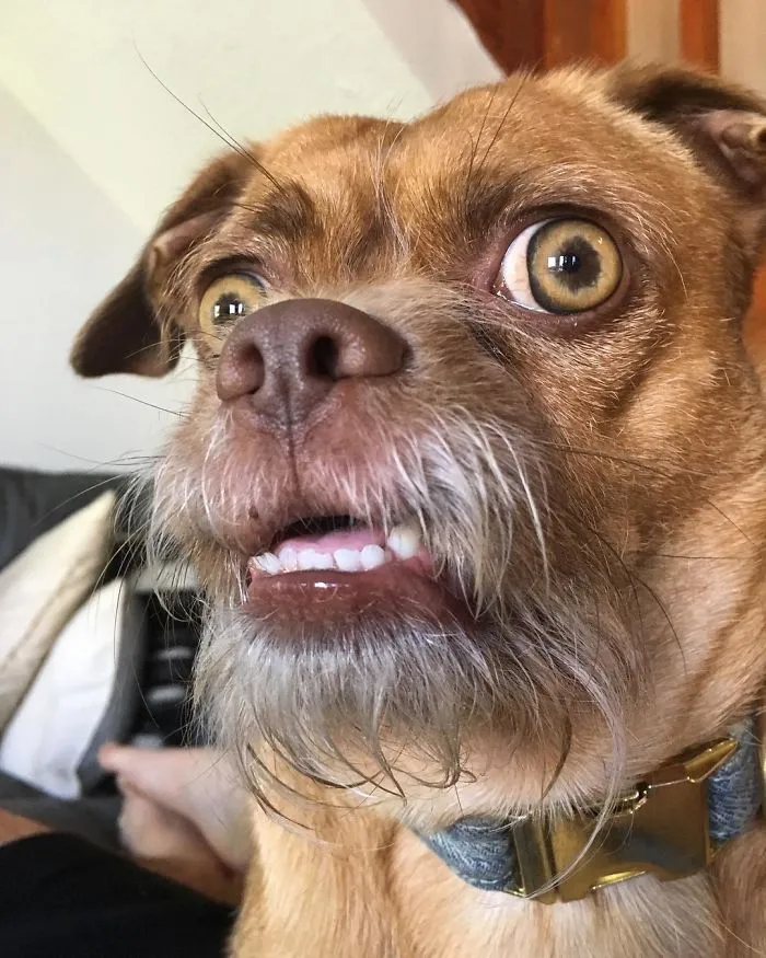 When You Accidentally Open The Front Facing Camera