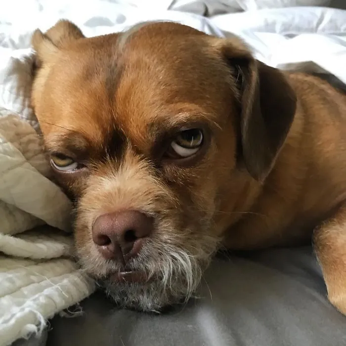 Daylight Savings Time: A Mood