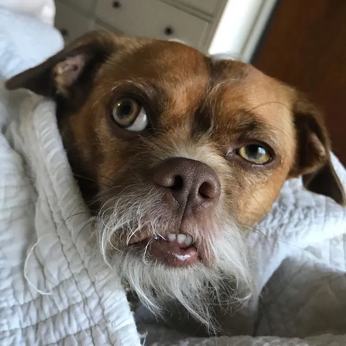 When Your Alarm Clock Goes Off On Monday Morning