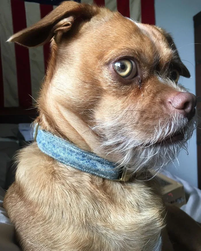 When You Thought It Was Gonna Be A Silent Toot!
