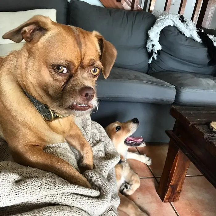 Caption This!