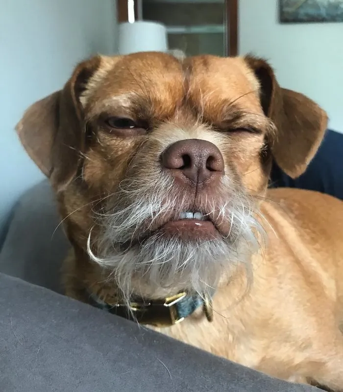 Monday's Got Bacon Like