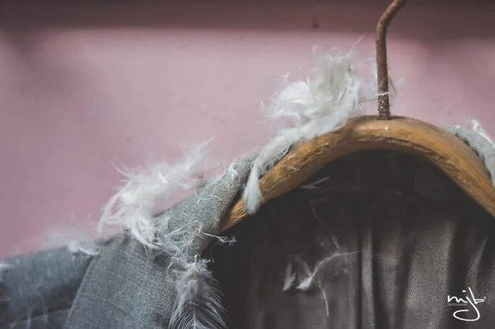 I Photographed The Best-Kept Bedroom Secrets Of All Times