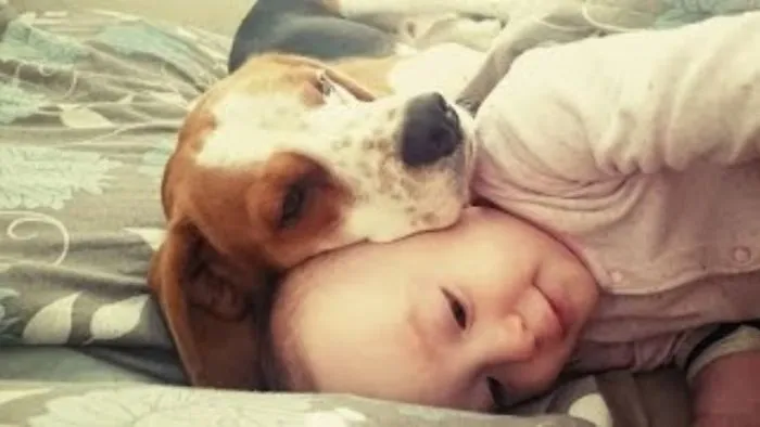 Babies And Dogs Can Be Best Friends