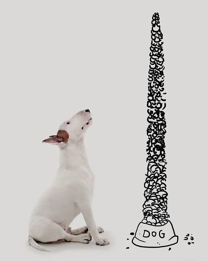 Su mujer se lo llevó todo excepto su perro, y continúa haciéndole divertidas fotos (nuevas imágenes)