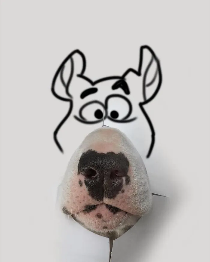 Su mujer se lo llevó todo excepto su perro, y continúa haciéndole divertidas fotos (nuevas imágenes)