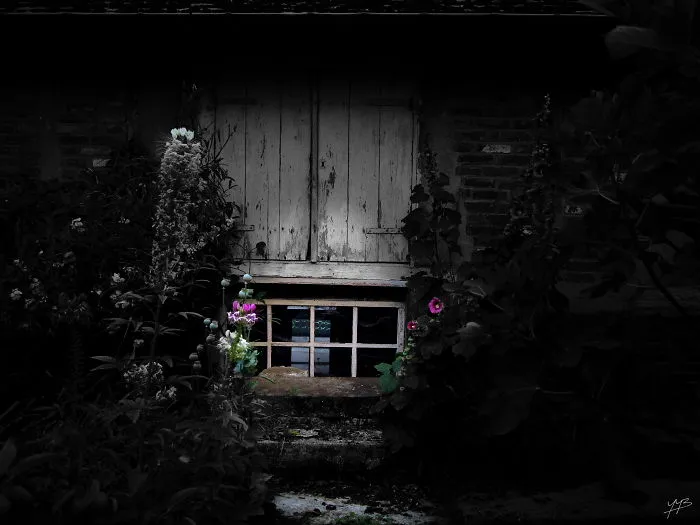 There Still Are Magical Places, You Just Have To Find Them ..or Create Them Yourself