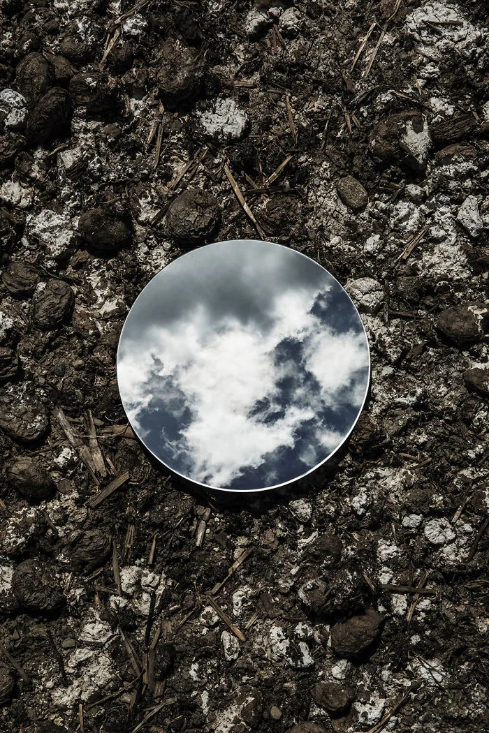 I Captured The Beauty Of Nature In Mirror Reflections