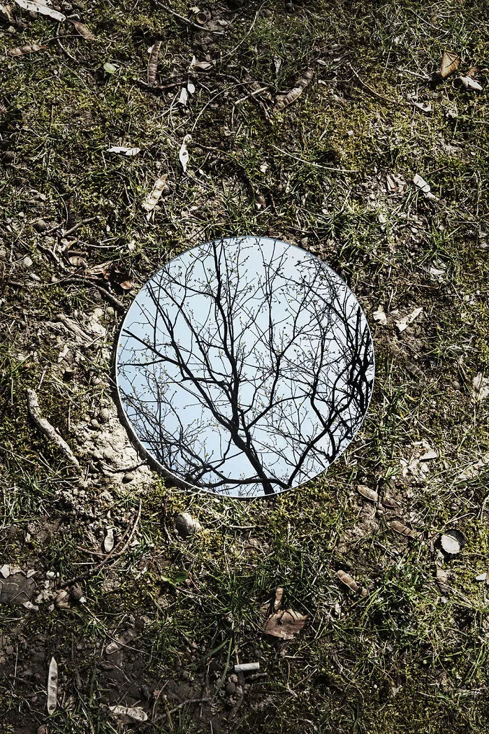 I Captured The Beauty Of Nature In Mirror Reflections