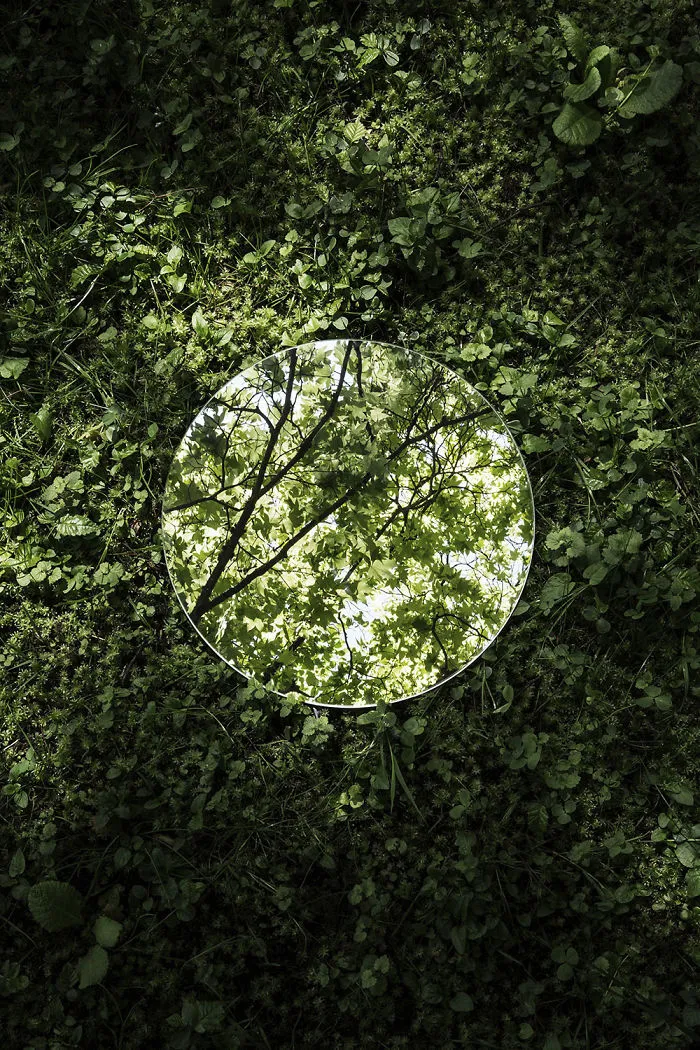 I Captured The Beauty Of Nature In Mirror Reflections