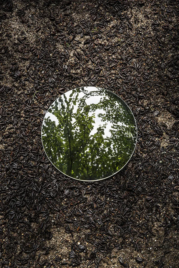 I Captured The Beauty Of Nature In Mirror Reflections