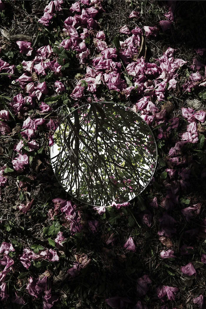 I Captured The Beauty Of Nature In Mirror Reflections