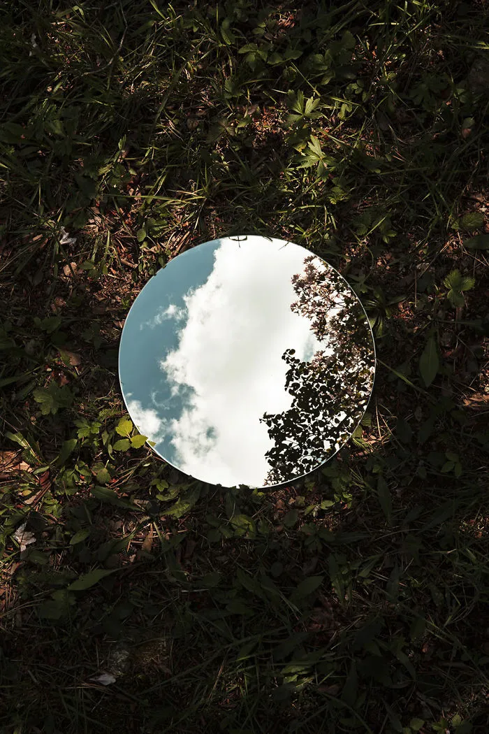 I Captured The Beauty Of Nature In Mirror Reflections