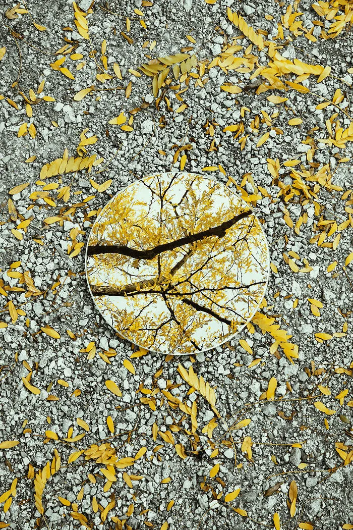I Captured The Beauty Of Nature In Mirror Reflections