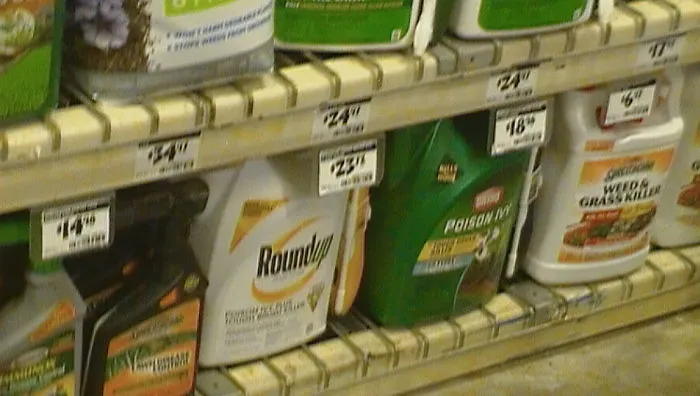 Glyphosate Is Truly Poisonous