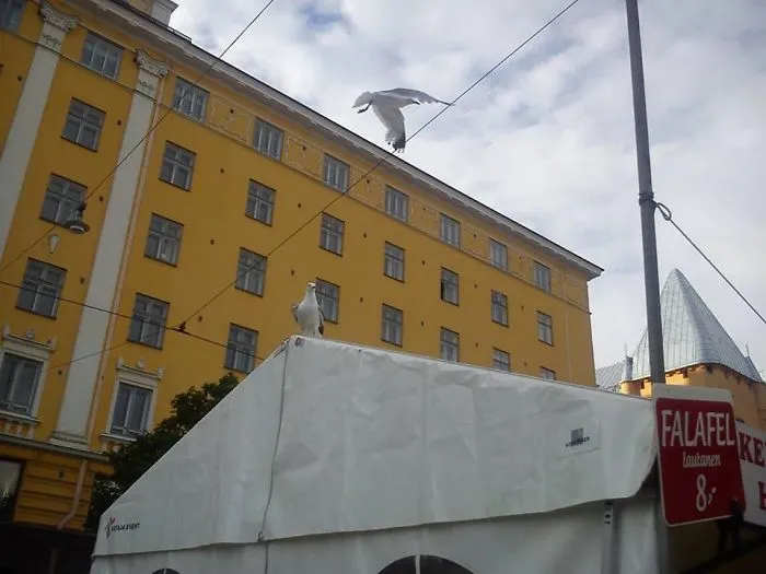 Seagull Summer Festival