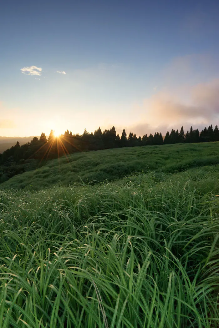 Sunset In Aso