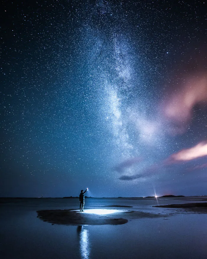 Cosmos