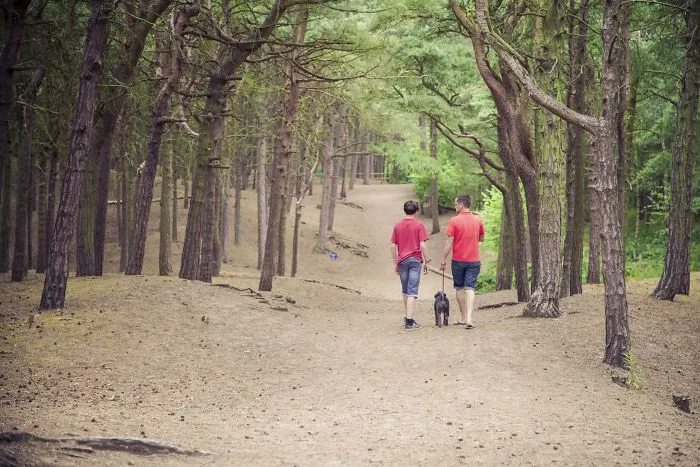 Do You Need A Tech Break? How (And Where!) To Go Off The Grid