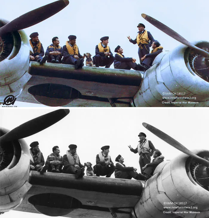 Liberator Crew Of No 311 (Czech) Squadron And Dog Sat On The Wing Of A Liberator Mk IIA, Possibly Serial Number LV343 At RAF Beaulieu, 21 July 1943.