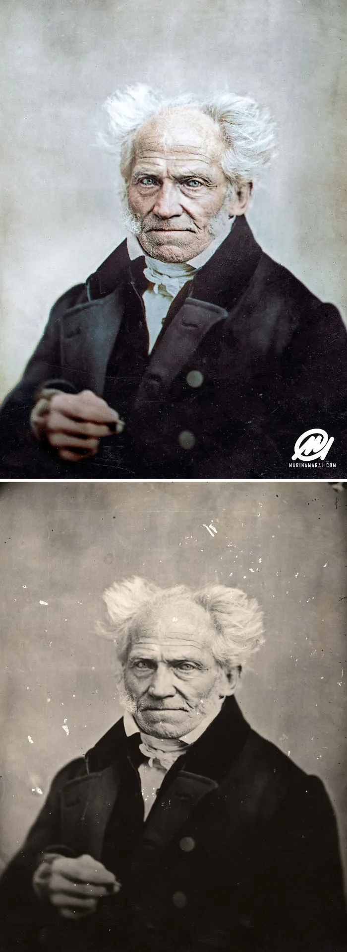 Arthur Schopenhauer By J Schäfer, 1859