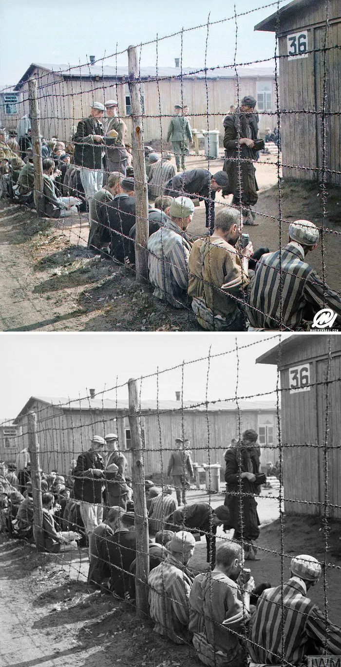 The Liberation Of Bergen-Belsen, April 1945