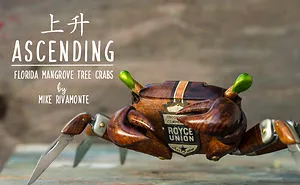 Ascending: 7 Mangrove Tree Crabs