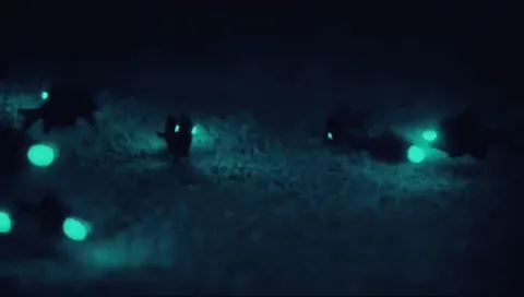 Those Fishes Are Literally Lit