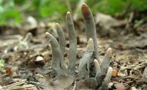 50 Times Nature Made Us Say NOPE" (WARNING: This List Might Be Too Scary For You)"