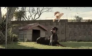 7 Cat Commercials I Can’t Get Enough Of
