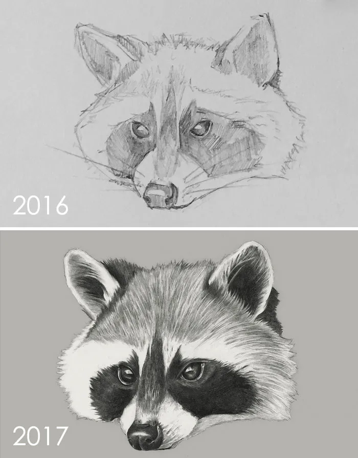 Progreso en un año