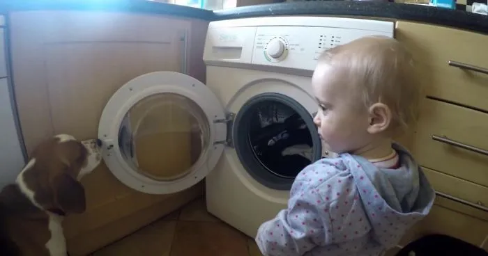 Dog And Baby Pranked By Magic Washing Machine